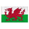 WALES FLAG (5FT X 3FT) POLYESTER