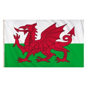 WALES FLAG (5FT X 3FT) POLYESTER