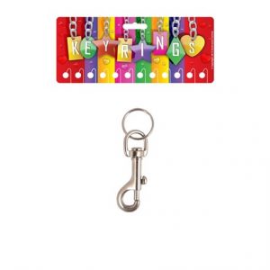 HIPSTER BONANZA KEYRING (12)