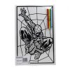 MEDIUM COLOURING BOARD - SPIDER