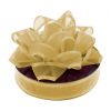 ORGANZA RIBBON GOLD