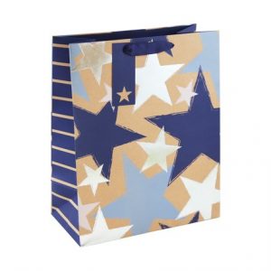 CRAFT BLUE STAR LARGE BAG