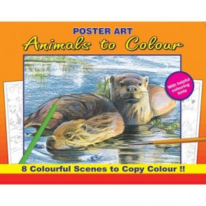 ANIMALS TO COLOUR BOOK - 4 ASSTD