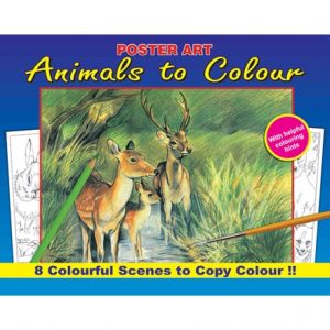 NATURE COLOURING BOOK - 4 ASSTD