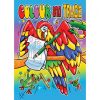 COLOUR & TRACE BOOK A4 - 4 ASSTD