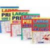 LARGE PRINT WORD SEARCH A5 - 4 ASSTD