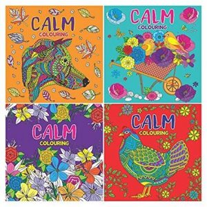 SQUARE CALM ADULT COLOURING BOOK - 4 ASSTD