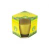 CHATSWORTH - CITRONELLA GLASS CANDLE