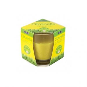 CHATSWORTH - CITRONELLA GLASS CANDLE