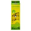 CHATSWORTH - CITRONELLA TEALIGHTS -