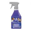 ASTONISH RTU DISINFECTANT MORNING DEW PET 550ML