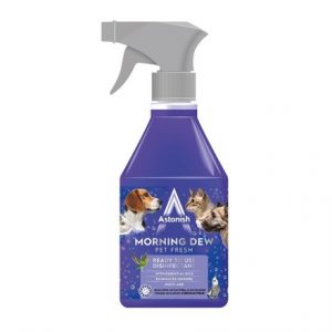 ASTONISH RTU DISINFECTANT MORNING DEW PET 550ML