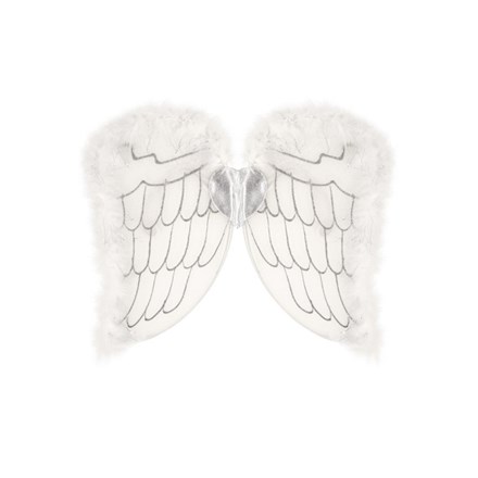CHILD'S ANGEL WINGS