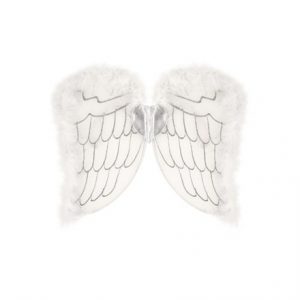 CHILD'S ANGEL WINGS