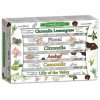 STAMFORD - HEX CITRONELLA VARIETY SET -