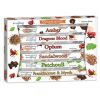 STAMFORD - HEX SANDALWOOD VARIETY SET -