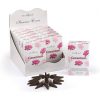 STAMFORD CLASSIC CONES - GERANIUM -