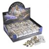 BFS - FOSSIL BOX PACK