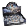 BFS - GIFT BOX FOSSIL PACK