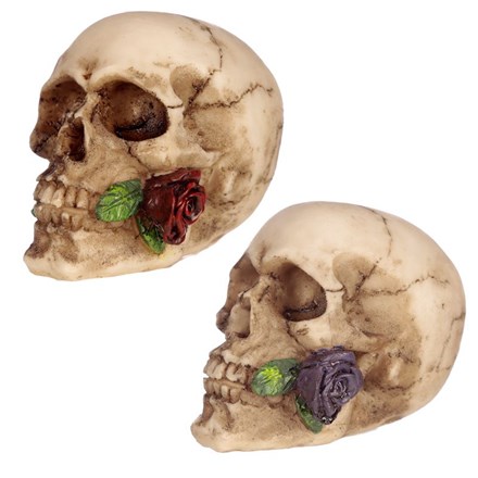 SKULL WITH ROSE IN TEETH -