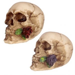 SKULL WITH ROSE IN TEETH -