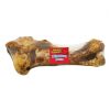 DINOSAUR BONE