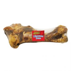 DINOSAUR BONE